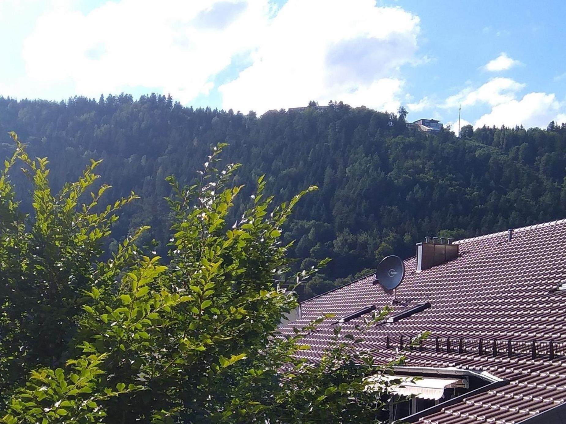Ferienwohnung Tannenwald Bad Wildbad Dış mekan fotoğraf