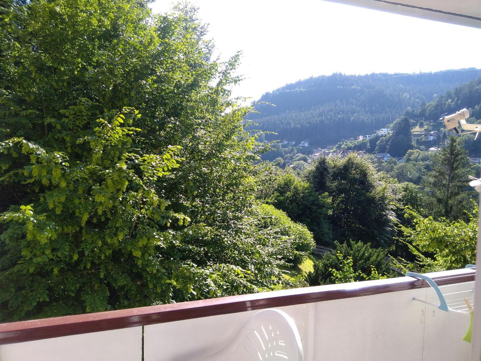 Ferienwohnung Tannenwald Bad Wildbad Dış mekan fotoğraf